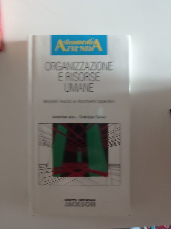 Organizzazione e risorse umane : modelli teorici e strumenti operativi