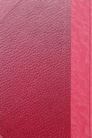 Padre Sergio | Immagine Gallery 4