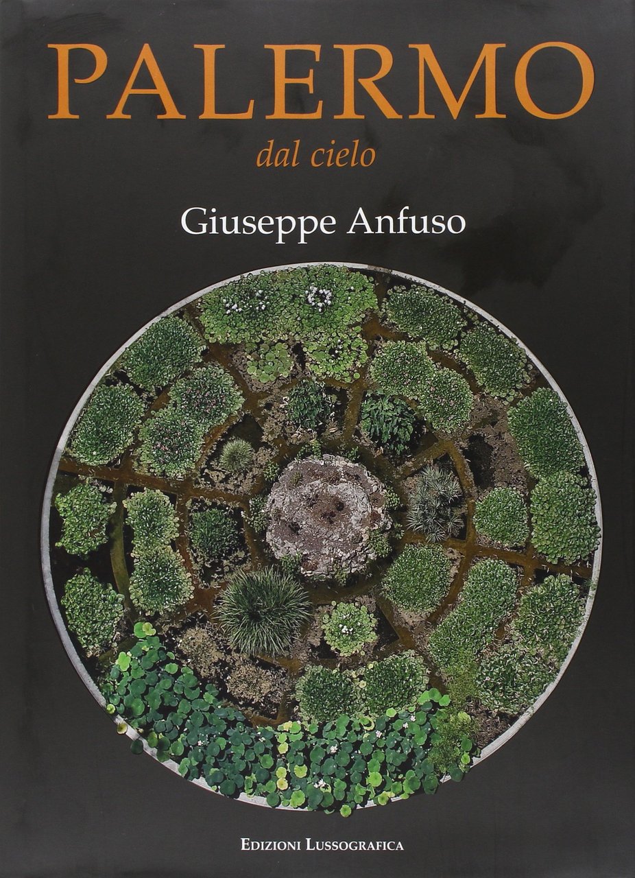 Palermo dal cielo. Ediz. illustrata