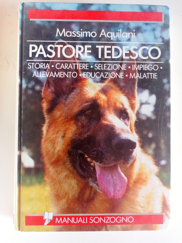 Pastore tedesco | Immagine principale