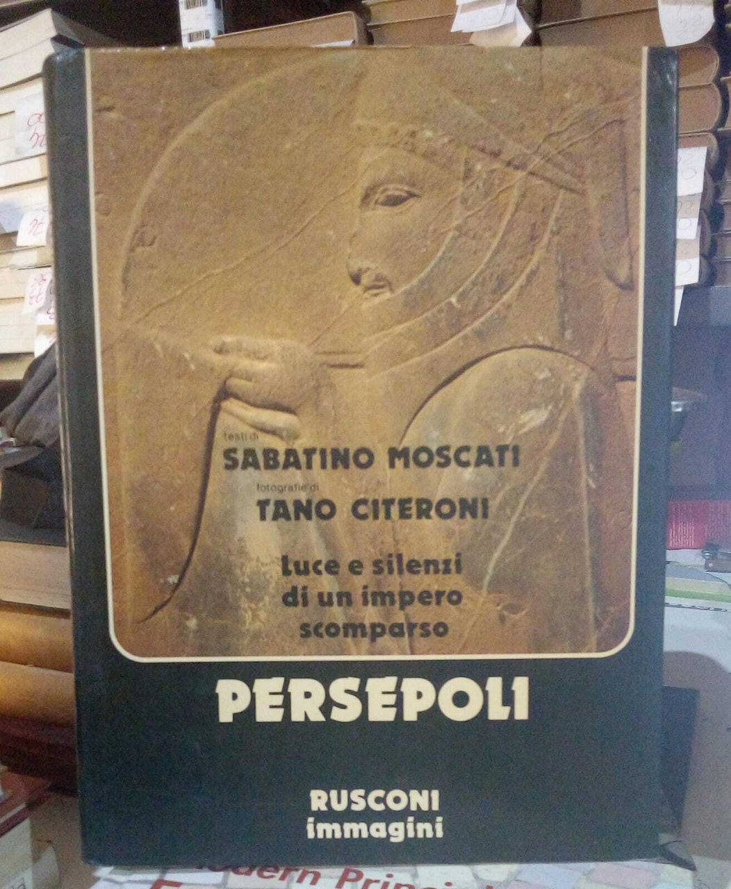 Persepoli. Luce e silenzi di un impero scomparso