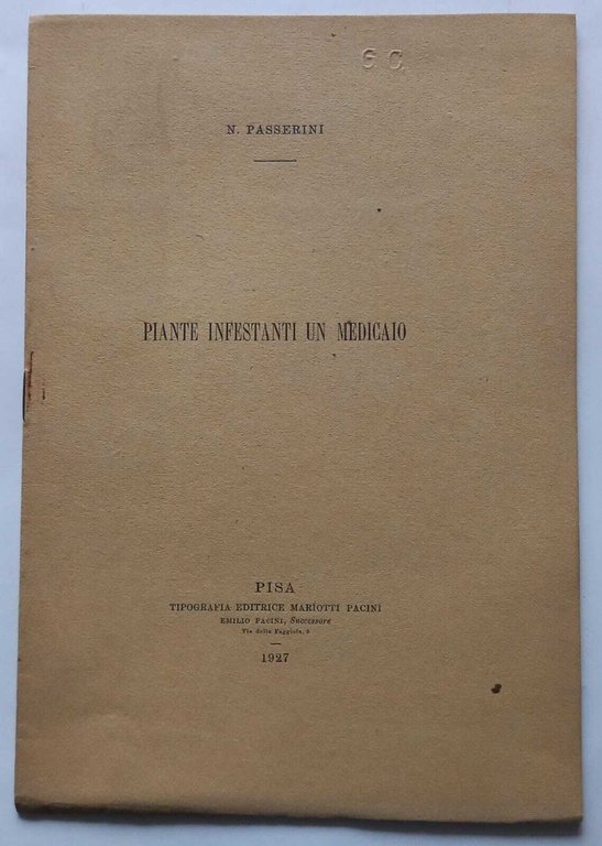 Piante infestanti un medicaio | Immagine Gallery 3