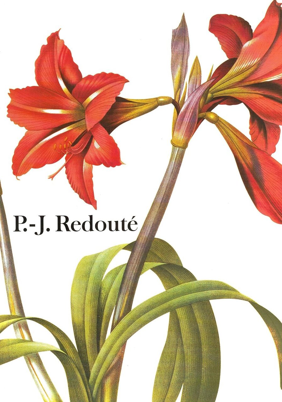 Pierre Joseph Redouté | Immagine principale