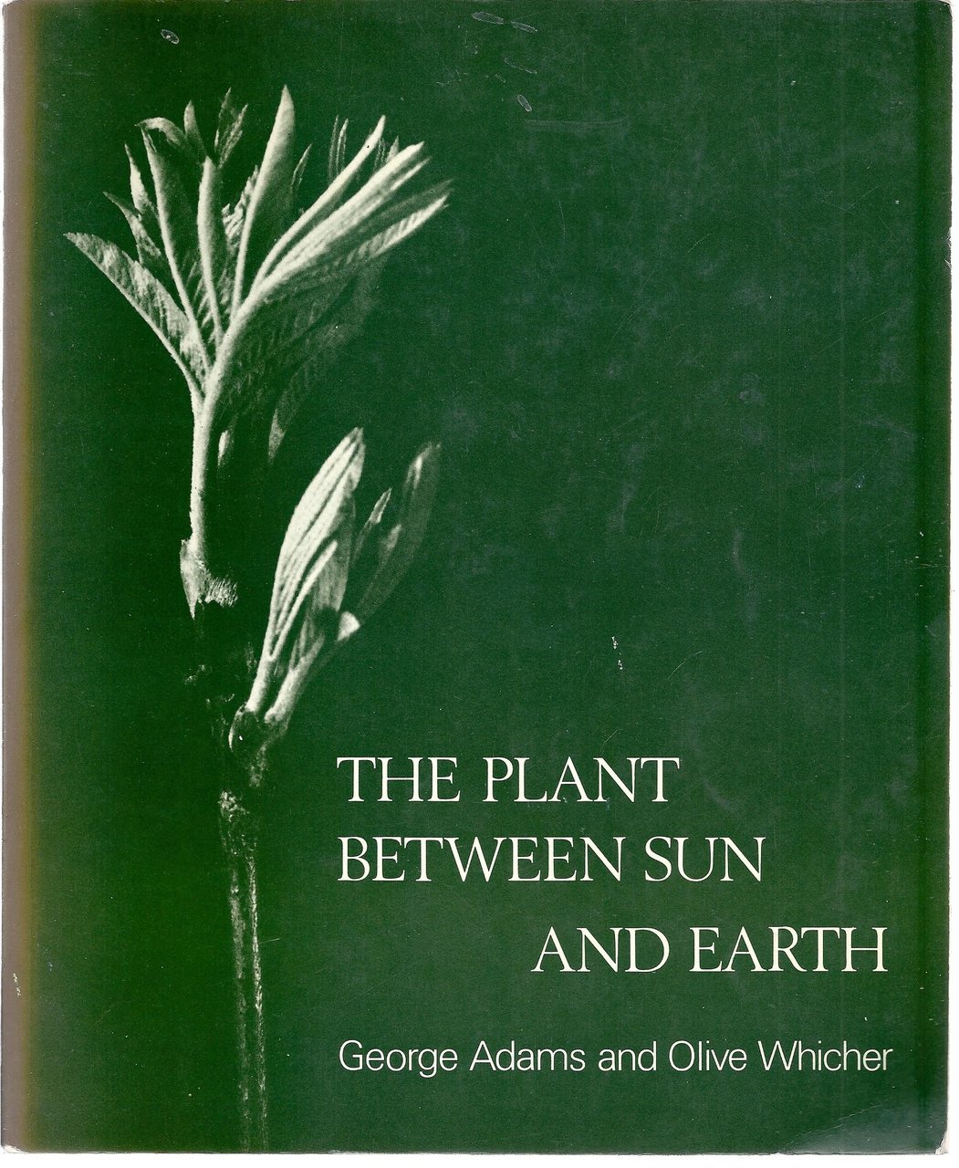 Plant Between Sun and Earth and the Science Physical and …