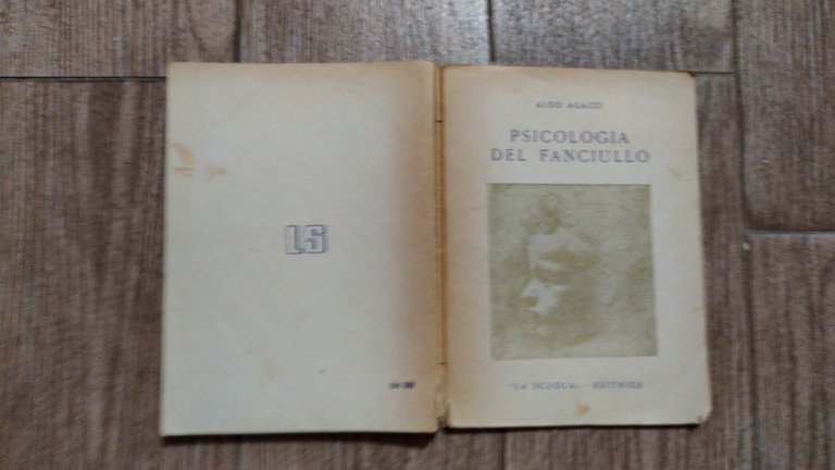 Psicologia del fanciullo