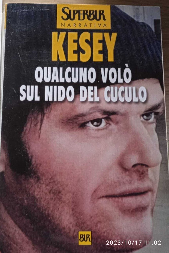 Qualcuno volò sul nido del cuculo