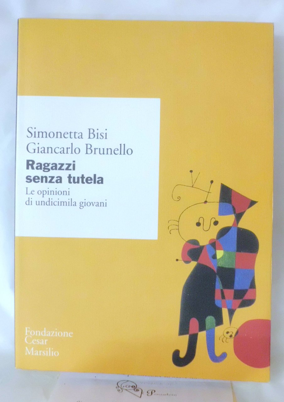 Ragazzi senza tutela. Le opinioni di undicimila giovani | Immagine principale