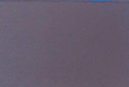 Ratio Medendi in Nosocomio Practico. Volumen XII | Immagine Gallery 4