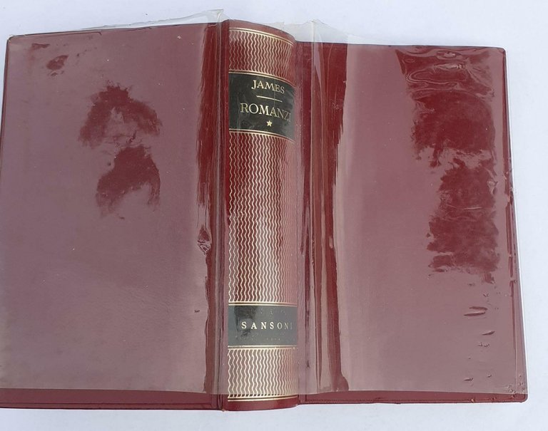 Romanzi I Henry James
