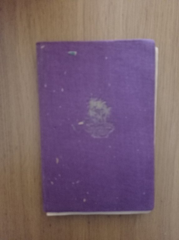 S. Giovanni Grisostomo | Immagine Gallery 4