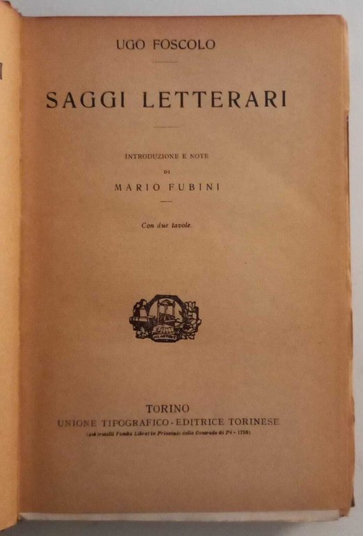Saggi Letterari