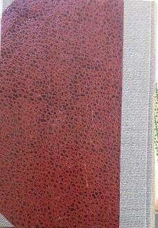 Saggio su l'intelligenza umana