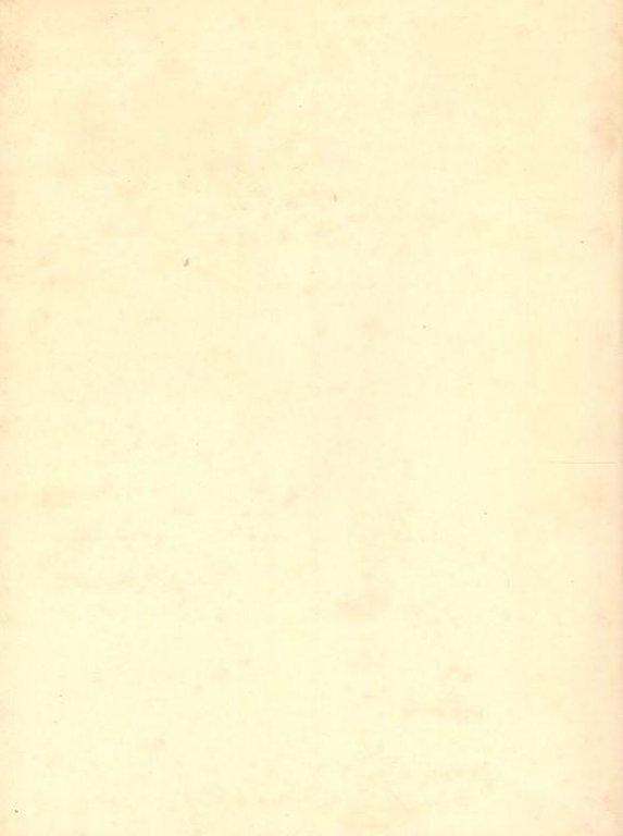 Sogni di legno, 127 tecniche miste su tavola, 20 oli …