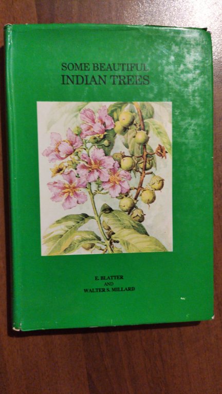 SOME BEAUTIFUL INDIAN TREES | Immagine Gallery 3