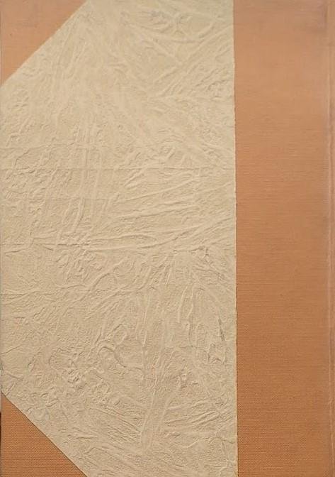 Sommario della storia del Diritto in Italia dall'origine di Roma …