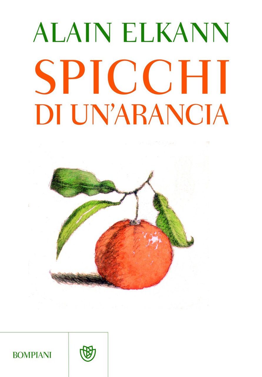 Spicchi di un'arancia.