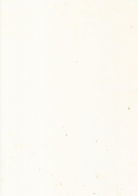 Sport Italia 89 | Immagine Gallery 4