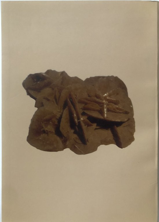 Studi Magrebini. Volume V