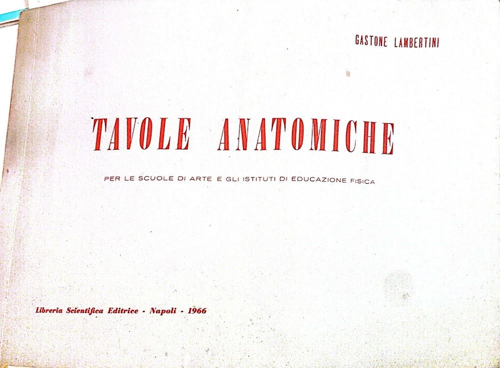 Tavole anatomiche per le scuole di arte e gli istituti …