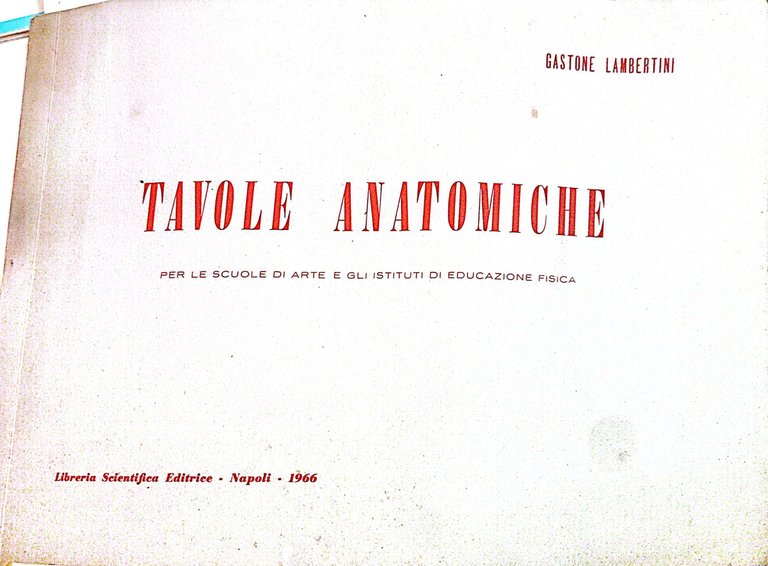 Tavole anatomiche per le scuole di arte e gli istituti …