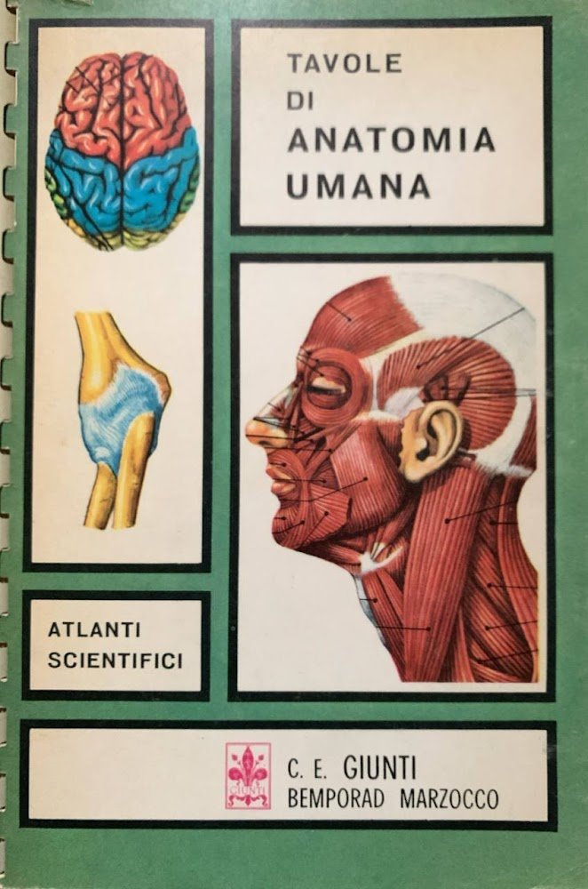 Tavole di anatomia umana
