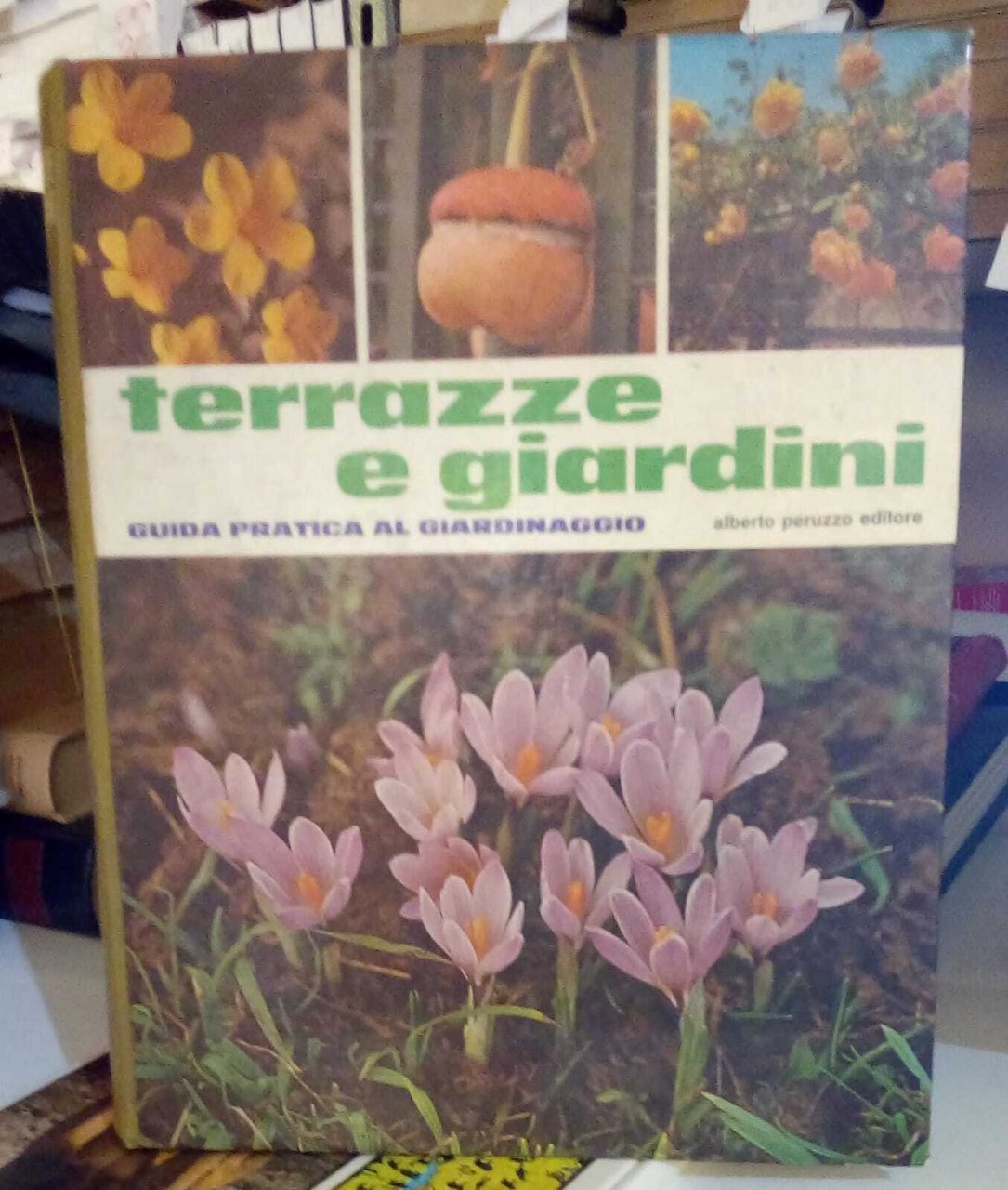 Terrazze e giardini. Guida pratica al giardinaggio.