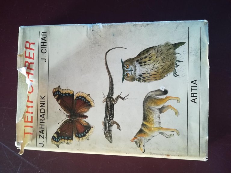 Tierfuhrer | Immagine Gallery 2