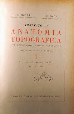 Trattato di Anatomia Topografica con applicazioni Medico-Chirurgiche. Tomo I | Immagine Gallery 3