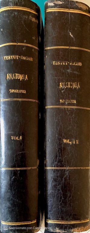 Trattato di anatomia topografica con applicazioni medico-chirurgiche Vol. 1-2