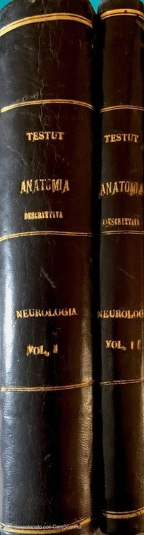 Trattato di anatomia umana Neurologia Parte seconda e parte terza