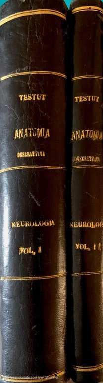 Trattato di anatomia umana Neurologia Parte seconda e parte terza