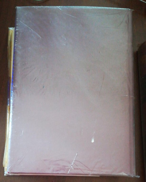 TRATTATO DI GINECOLOGIA | Immagine Gallery 3