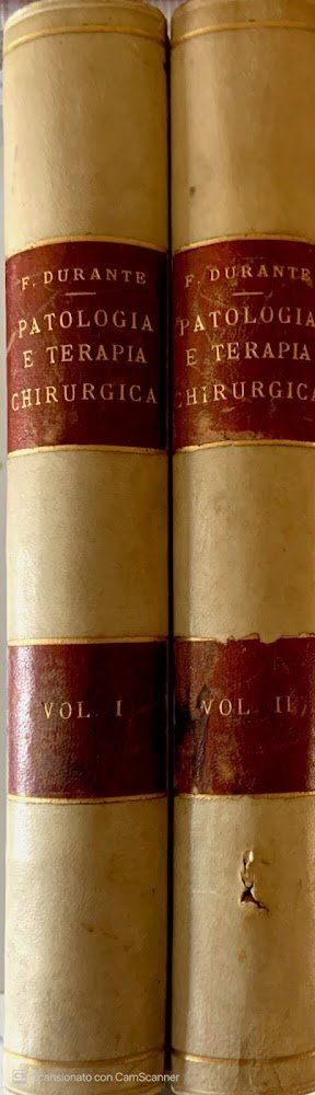 Trattato di patologia e terapia chirurgica. Vol. 1-2 | Immagine principale