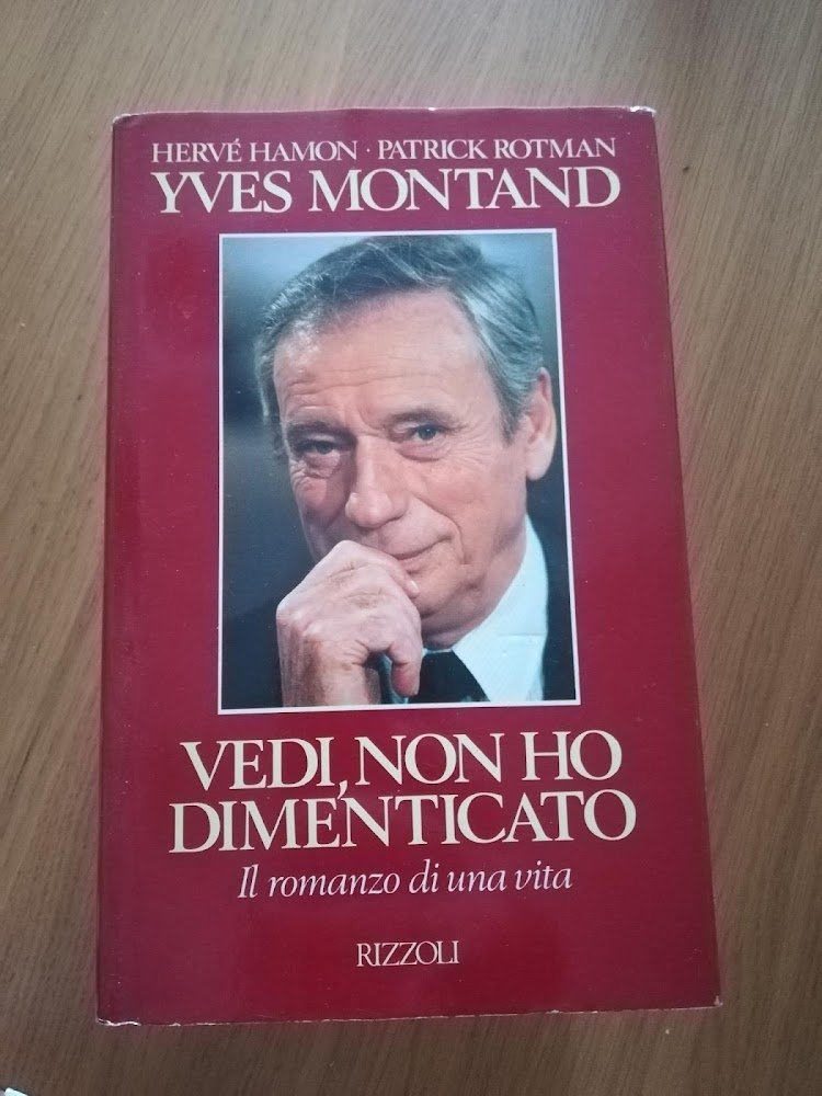Vedi, non ho dimenticato. Il romanzo di una vita