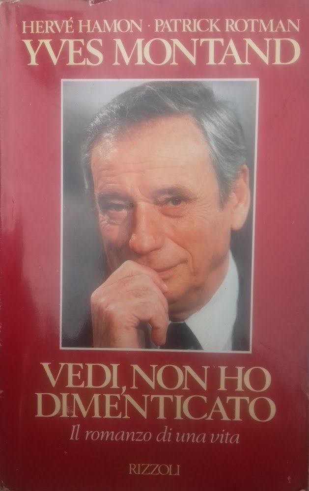 Vedi, non ho dimenticato. Il romanzo di una vita | Immagine principale