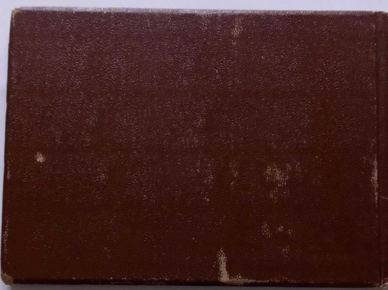 Venezia e l'Adriatico | Immagine Gallery 3