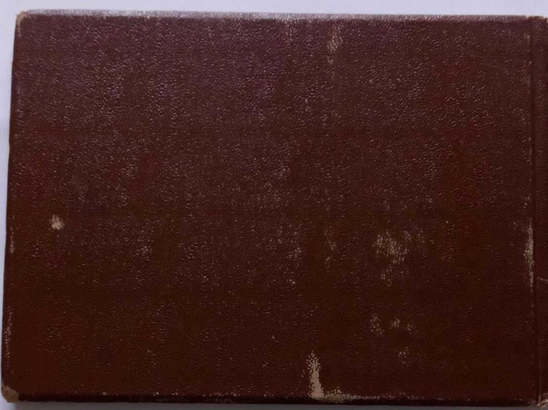 Venezia e l'Adriatico | Immagine Gallery 4