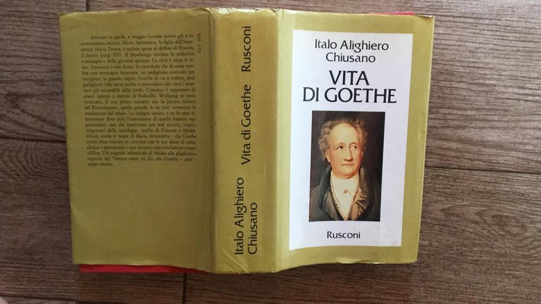 Vita di Goethe | Immagine Gallery 2
