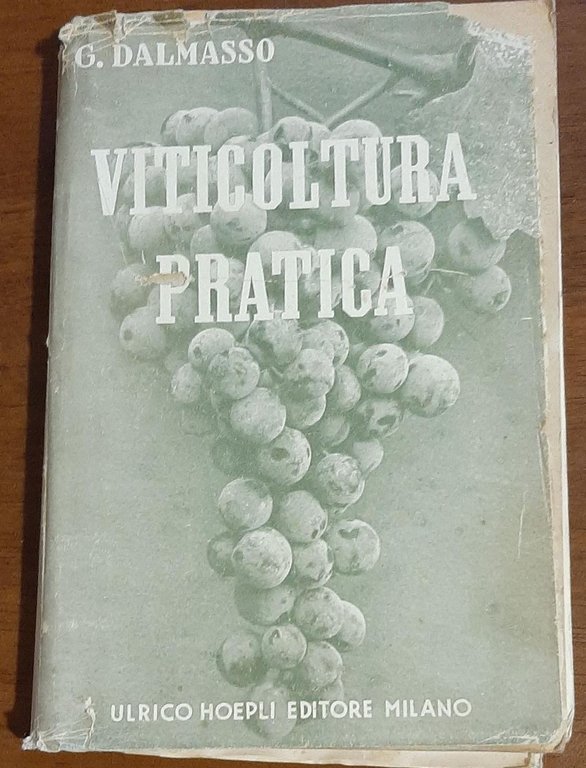 VITICULTURA MODERNA | Immagine Gallery 2