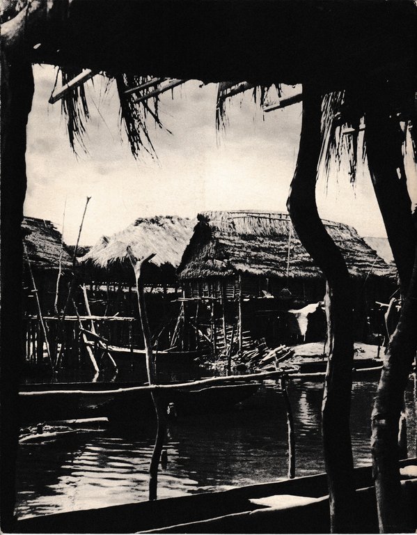Vivante Afrique. n. 214 - Bimestriel - Mai-Juin 1961