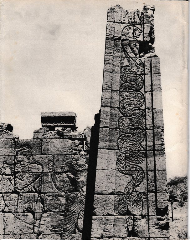 Vivante Afrique. n. 215 - Bimestriel - Juillet-Aout 1961