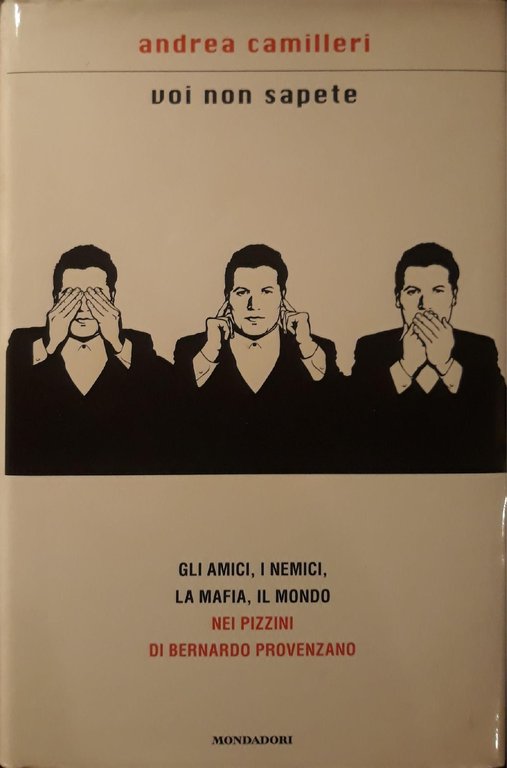 Voi non sapete : gli amici, i nemici, la mafia, …