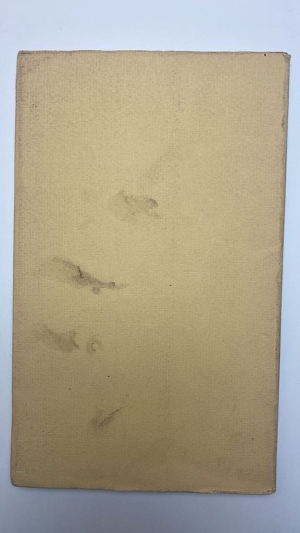 Vularria | Immagine Gallery 2