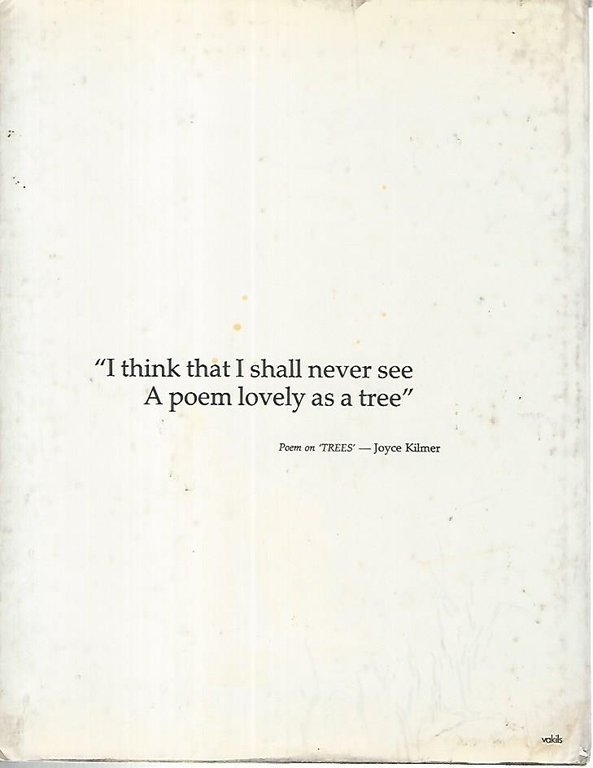 Wonderworld of tropical bonsai