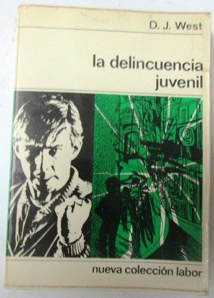 LA DELINCUENCIA JUVENIL
