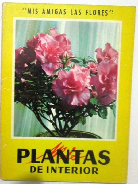 MIS PLANTAS DE INTERIOR