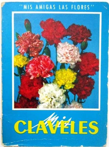 MIS CLAVELES