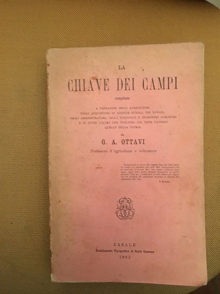 La chiave dei campi