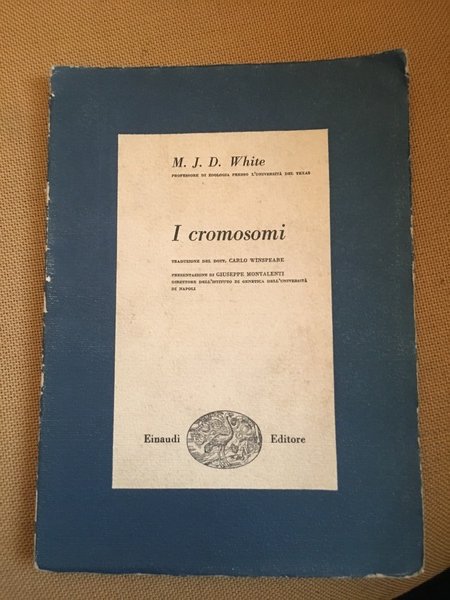 I cromosomi.