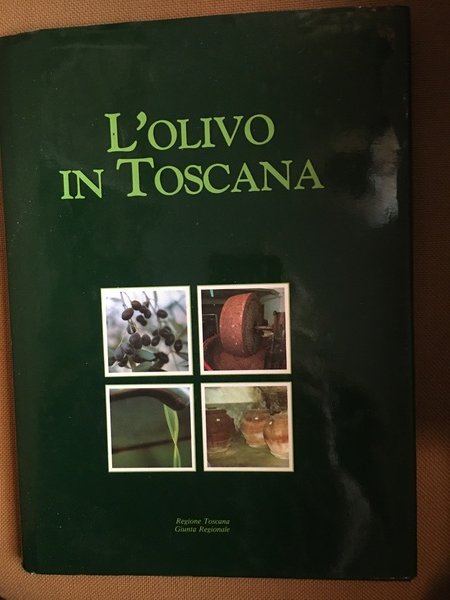 L'olivo in Toscana.